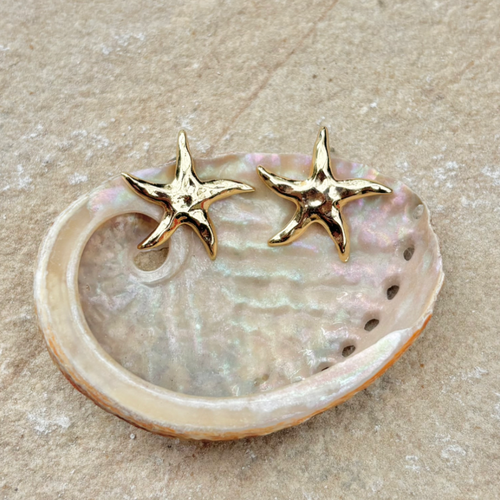 STARRY EAR STUDS